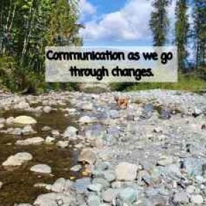 Conversations during Change