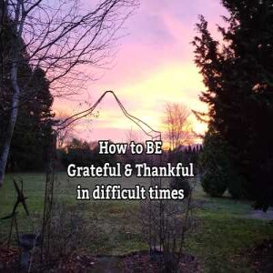 Finding Gratitude in difficult times with Regan Forston