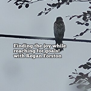 Finding Joy While Reaching for Goals with Regan forston