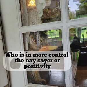 The Naysayer or positivity..whos in control? w Regan Forston