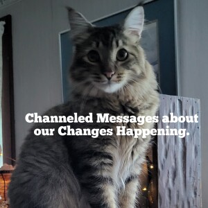 Are You Ready For The Changes?