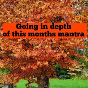 Conversations on being thankful, healthy, Wealthy and Alive