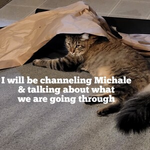 Planetary changes, our bodies & channelling Mikale