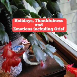 Our Holidays, Emotions and Even Grief