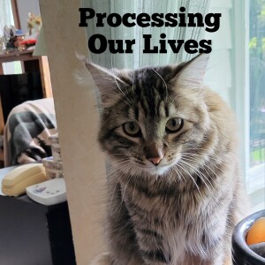Processing Our Lives