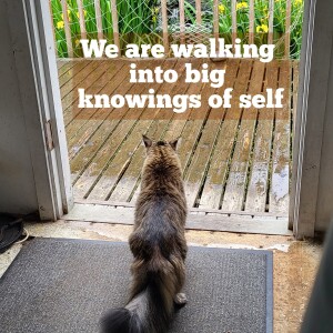 An invitation to see what we are going through