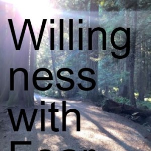 Willingness with Fear  The Dance of the Soul