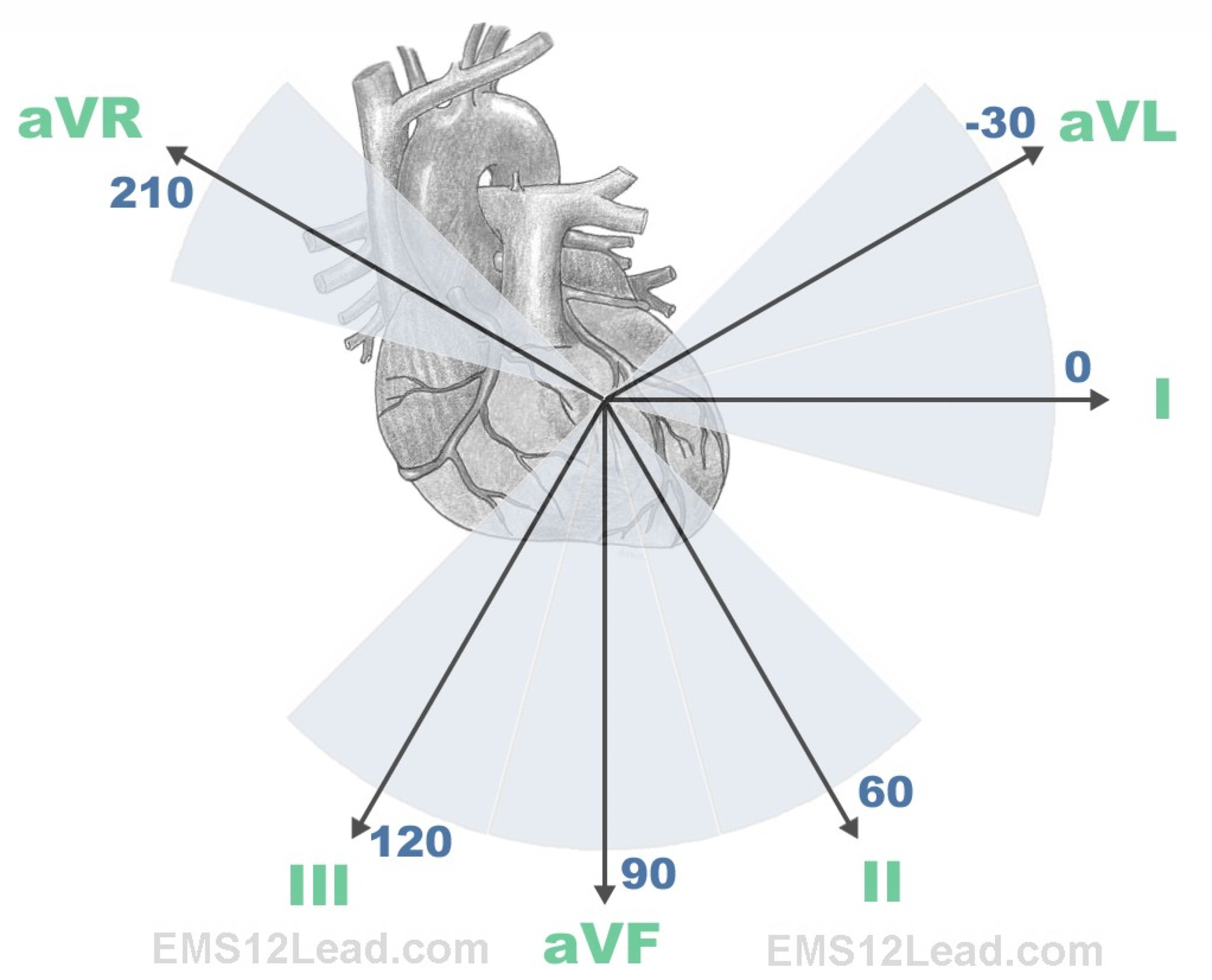 Mastering the 12 Lead EKG