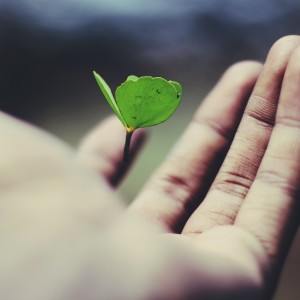 An Appreciation Meditation