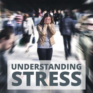 Understanding Stress - Class 1 of the 7 Steps to Resilience and Stress Management Series