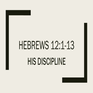 His Discipline (Hebrews 12:1-13) ~ Martin Labonté