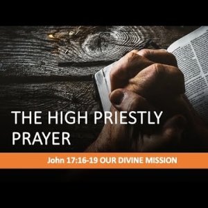 The High Priestly Prayer: Our Divine Mission (John 17:16-19) ~ Martin Labonté