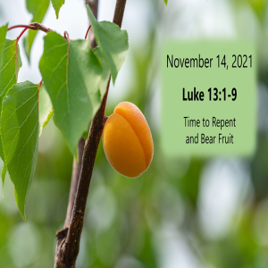 Time to Repent and Bear Fruit (Luke 13:1-9) ~ Pastor Brent Dunbar