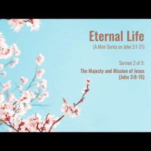 The Majesty and Mission of Jesus (John 3:9-15) ~ Pastor Brent Dunbar