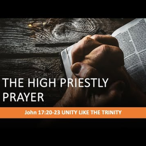 The High Priestly Prayer: Unity like the Trinity (John 17:20-23) ~ Martin Labonté
