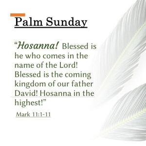 Hosanna to the King (Mark 11:1-11) ~ Ed Moreno