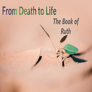 Beyond Our Lifetime (Ruth 4:11-17) ~ Pastor Brent Dunbar