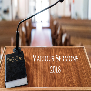 Father Forgive them - Luke 23:32-38 (15-July-2018) ~ Ed Moreno