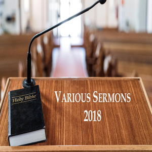 Revelation 7:9-12 (21-January-2018) ~ Brent Dunbar