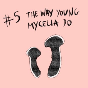 Mushroom - Chapter 5: The Way Young Mycelia Do