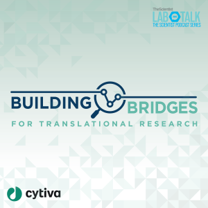 Building Bridges for Translational Research - Supporting mRNA Therapeutic Development and Beyond