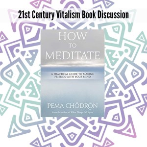 Pema Chodron’s ’How to Meditate’ Book Exploration