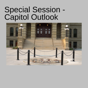 Special Session - Capitol Outlook