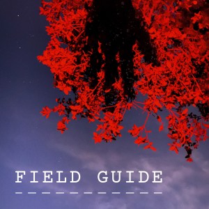 Field Guide: Walking