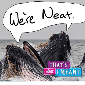 Ep 2: A Whale of an Episode