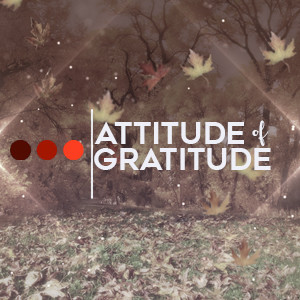 Attitude of Gratitude #3 - Bless, Broke, Give