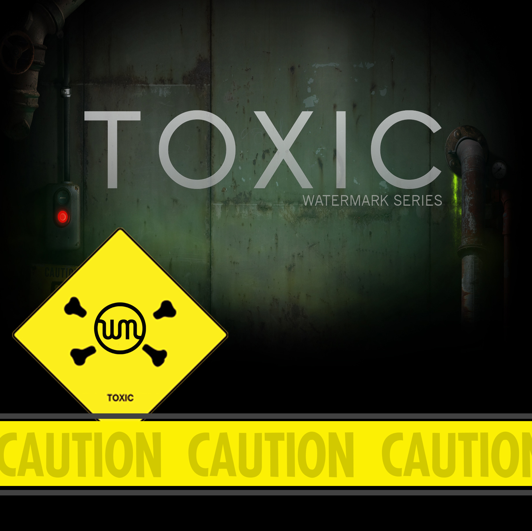 Toxic -  Renew and Transform -   9/11/2016