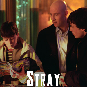 Episode 16 - 1x16 Stray