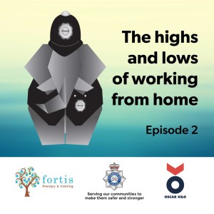 Episode 2 – The highs and lows of working from home