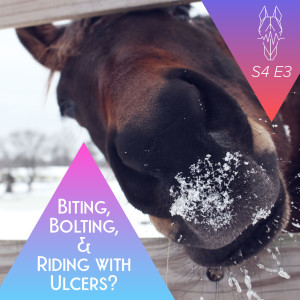 80 || Q&A: Biting, Bolting & Riding with Ulcers?