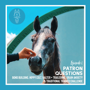 83 || Q&A: Bond Building, Nippy Colt, Halter + Trailering, Grain Anxiety & Traditional Trainer Challenge