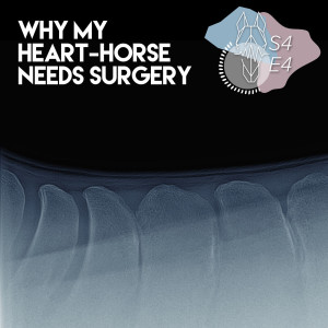 81 || Why My Heart-Horse Needs Surgery