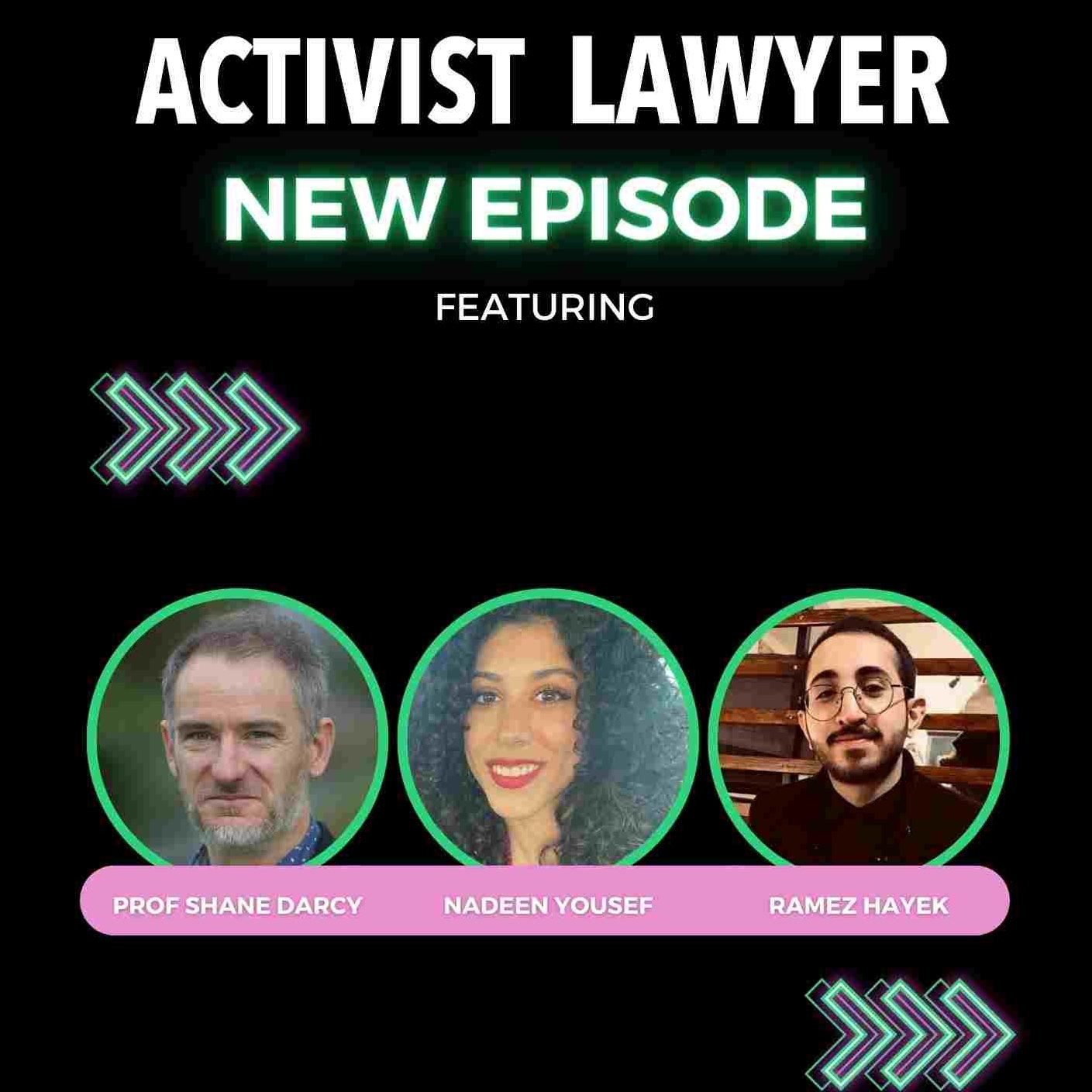 Activist Lawyer
