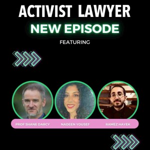 Episode 75: Professor Shane Darcy, Nadeen Yousef and Ramez Hayek