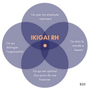 3 - Ikigai organisationnel