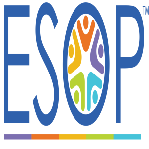 S2 E4 - 2021 ESOP Share Price