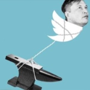 Episode 95: Elon Musk on Twitter - From Top Troll to Chief Twit