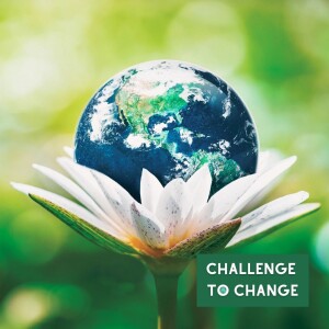 Ep 5: Walk a greener path and avoid greenwashing