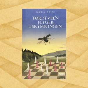 Maria Gripe, TORDYVELN FLYGER I SKYMNINGEN