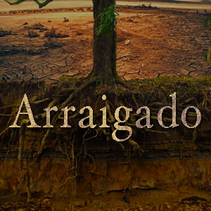 9. Arriagados - Desarollando la Madurez