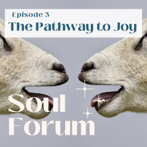 S1E3: The Pathway To Joy