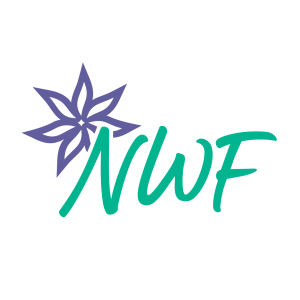 CivicView Season 3: Making an Impact with Impact 100 NWF