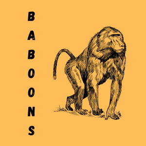 Show 12: Talking Baboons with Professor Archie