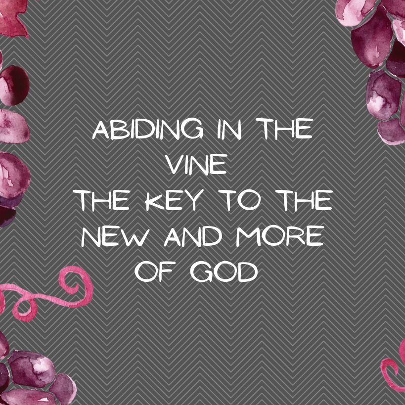 Abiding in the Vine: The Key to the New and More of God