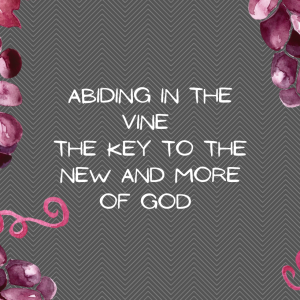 Abiding in the Vine: The Key to the New and More of God