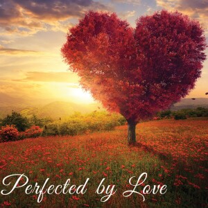 Perfected By Love: The Pure In Heart See God